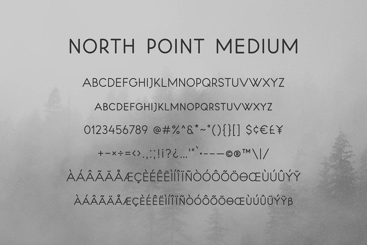 North Point | Sans Serif, a Sans Serif Font by MoonLake (Photo 9 of 10)