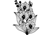 Decorative Floral Mandala Rose Butte, an Object Illustration by Designer_Momina (Thumbnail 19 of 21)