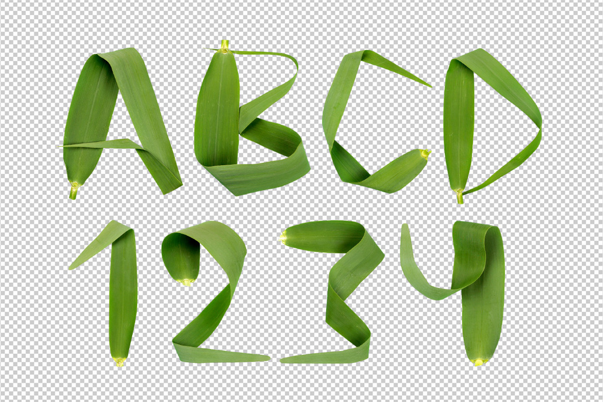 Reed Font, a Font by Handmadefont