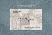 Mineral Coast Imprint backgrounds, a Texture Graphic by DigARTbyHavroshka (Thumbnail 15 of 15)