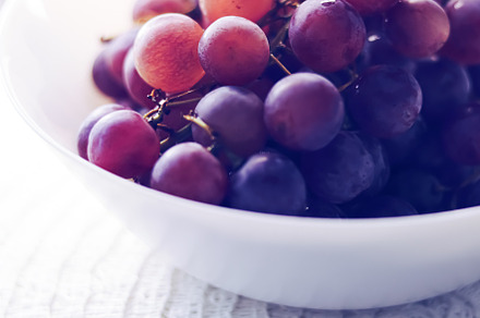 Food and agriculture, ripe dark grapes from organic fruit garden, a Food & Drink Photo by Anneleven