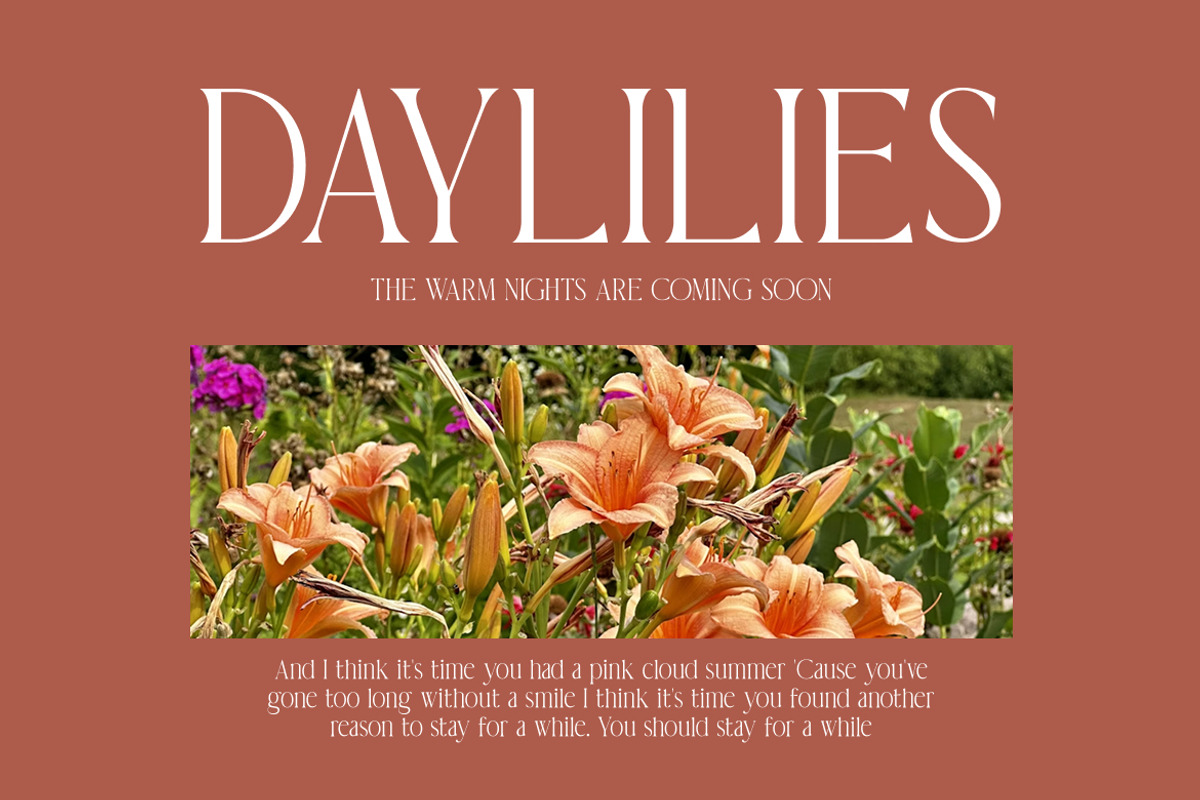 Theorine Modern Condensed Serif Font, a Serif Font by Vadovastd (Photo 4 of 7)