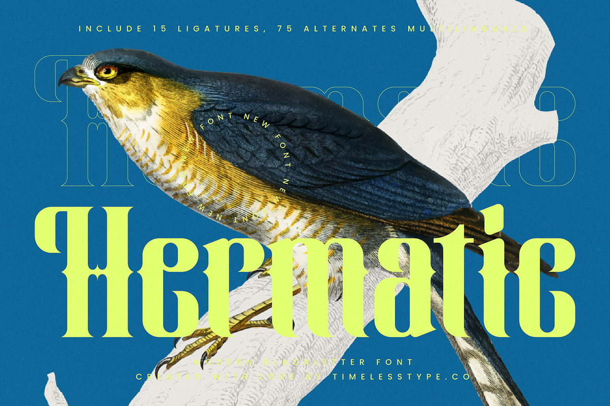 Hermatic - Modern Serif Display, a Script Font by timelesstype.co (Photo 1 of 20)