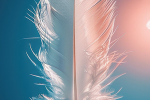 White feather floating against blue sky with soft sunlight and a, a Nature Photo by José Manuel Gelpi