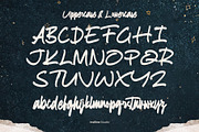 Resonan Bastega - Bold Brush Script, a Script Font by Inviline.co (Thumbnail 3 of 10)