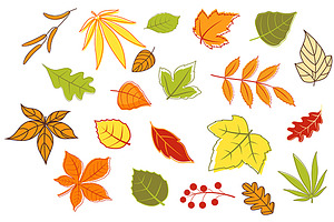 Colorful Autumnal Leaves And Plants