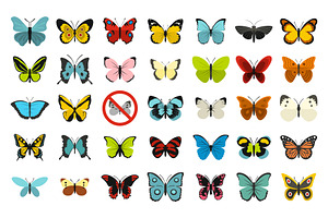 Butterfly Icon Set, Flat Style