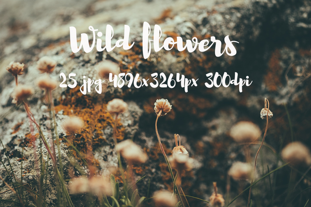Wild Flowers II, a Templates & Theme by ApertureVintage (Photo 5 of 14)