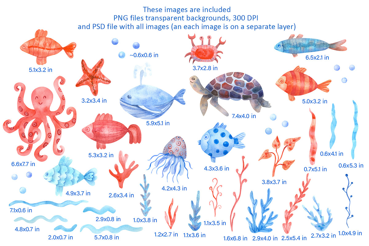 Nautical Mile Watercolor Collection, an Animal Illustration by Anna Druzhkova (Photo 4 of 30)