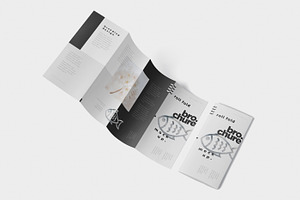 Roll-Fold Brochure Mockup - DL DIN