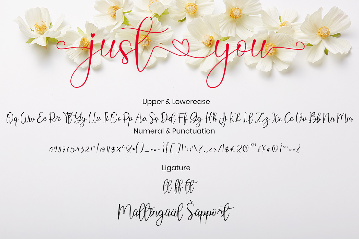 Just You Calligraphy Love Font, a Script Font by MC Creative (Photo 8 of 9)
