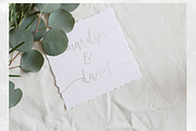 Demilo Brush Script With Swashes, a Script Font by Wooly Pronto (Thumbnail 6 of 6)