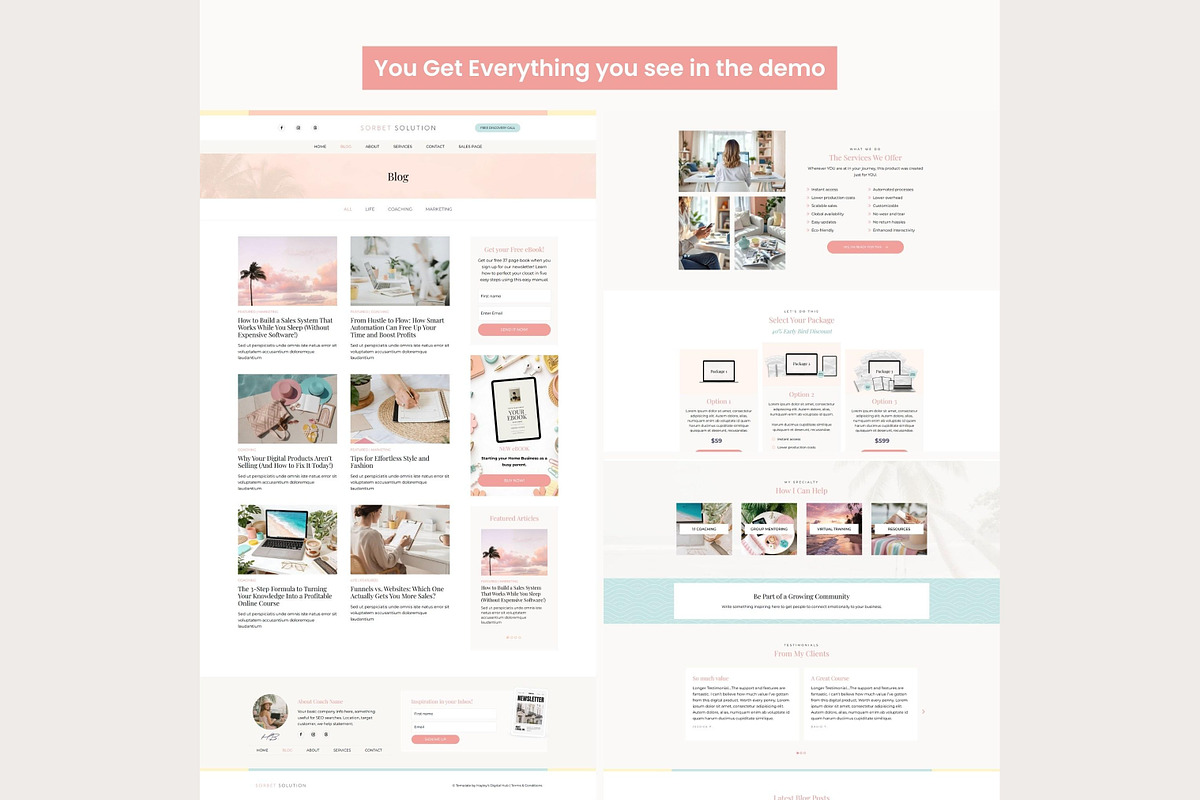 Systeme.io Sorbet Solution Blog, a Landing Page Template by Hayley's Digital Hub (Photo 6 of 10)