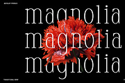Anyelir Display - Condensed Serif, a Serif Font by Magnolitype (Thumbnail 3 of 21)