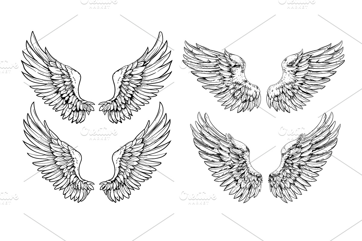 Engraved angel wings. Feathers, an Object Illustration by Stock-Smart-Start