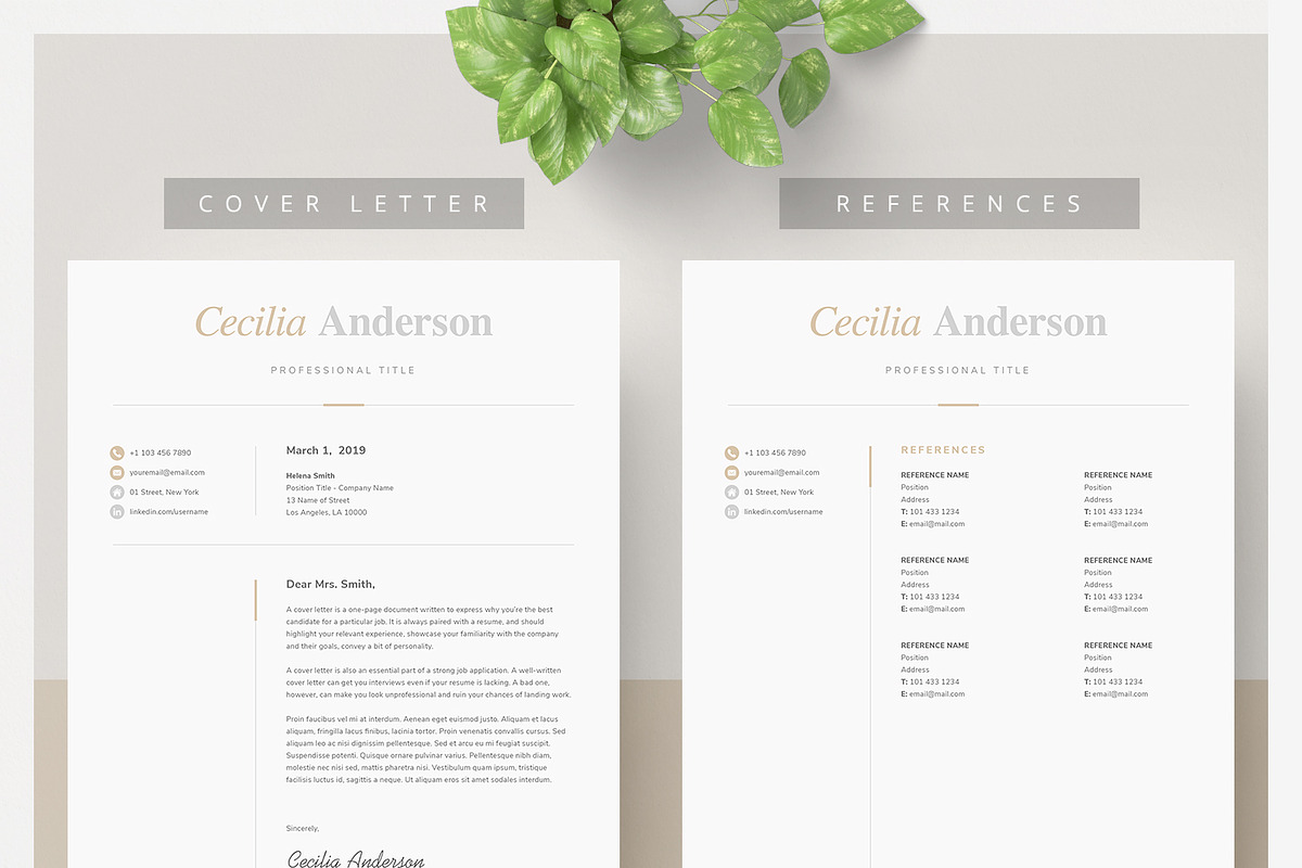 Modern 2 Page Resume Template, a Resume Template by DemeDesign (Photo 3 of 5)