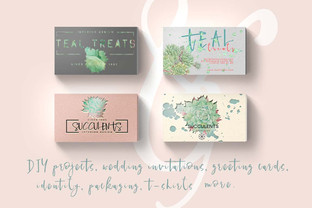 Succulents-single species package, a Work Illustration by watercolorwild.graphics (Photo 5 of 8)