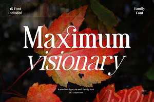 Maximum Visionary Ligature Family