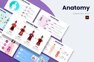 Anatomy Illustrator Template Slides