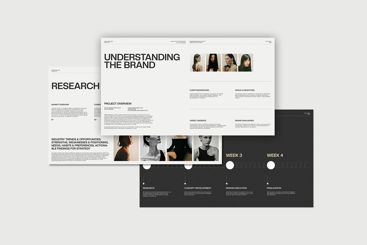 Proposal Presentation Template, a Presentation Template by evgenystudio (Photo 8 of 9)