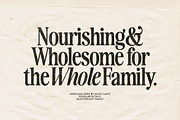 The Awesome Serif Family (32 Fonts), a Serif Font by Nicky Laatz (Thumbnail 4 of 42)