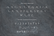 Noelique – Elegant Luxury Serif, a Serif Font by AN Productions (Thumbnail 4 of 4)