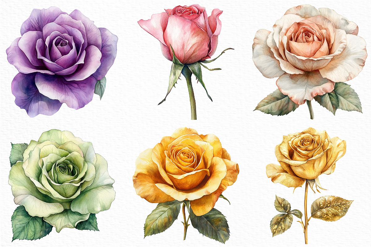 Rose Flower Clipart Bundle, an Illustration by Craft Nest (Photo 2 of 6)