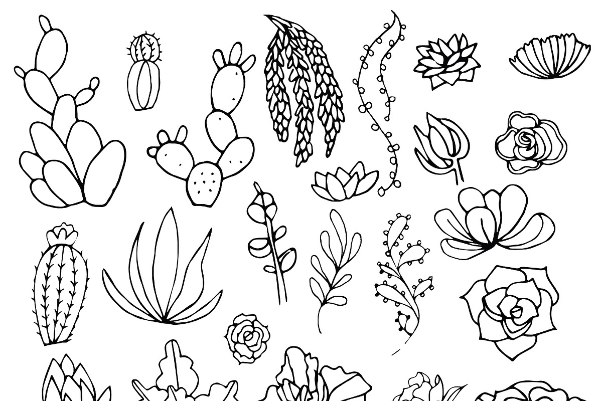 Succulents- outline & color, an Illustration by Valeri Nick (Photo 2 of 5)