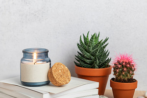 Burning scented candle, books, eyeglasses, and potted plants cre, a Nature Photo by Olena Rudo