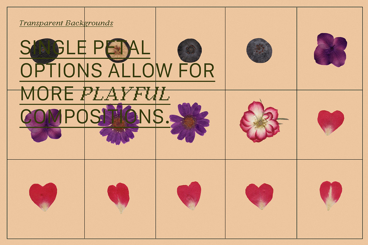 PRESSED BOTANY Floral & Fruit Cutout, an Object Graphic by Desert Poetic (Photo 6 of 10)