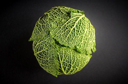 Savoy cabbage isolated on a black background, a Food & Drink Photo by GoodGoods
