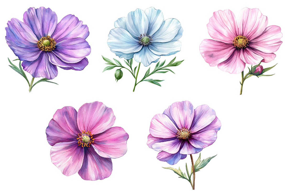 Watercolor Spring Cosmos Flower Clip, a Texture Illustration by DreamPrint404 (Photo 5 of 7)