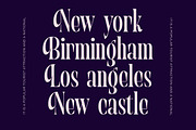 Begosta Modern Display Serif, a Serif Font by timelesstype.co (Thumbnail 5 of 20)