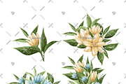 Wanderlust Watercolor Cliparts, an Illustration by Phantasia Design (Thumbnail 3 of 8)