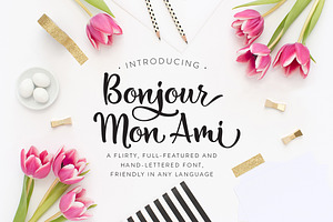Bonjour Mon Ami