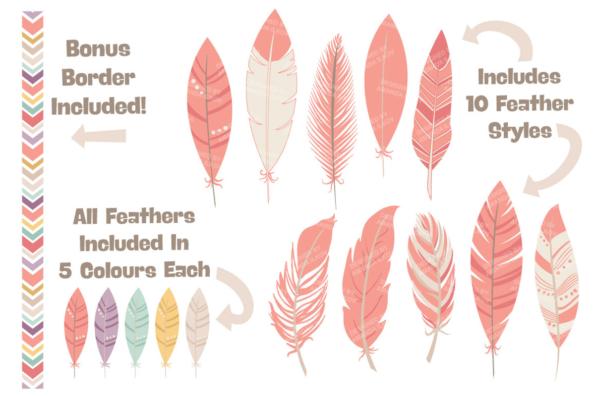 Vintage Pink Feathers Vector Clipart, an Illustration by Amanda Ilkov (Photo 2 of 4)