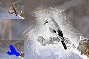 Drawing Effect Photoshop Action, an Action Add-On by Claudiu Gabriel (Thumbnail 5 of 9)