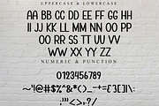 Planner Highland, a Script Font by FreshTypeINK (Thumbnail 4 of 8)