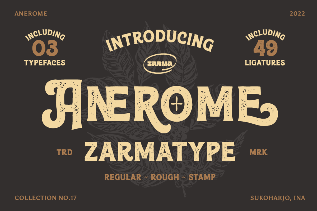 Anerome - Vintage Display Font, a Serif Font by Zarma Type (Photo 1 of 12)