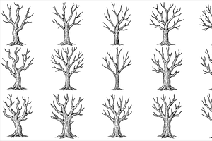 Leafless Tree Set, an Object Graphic by nikagraphic