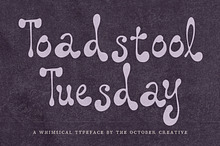 Toadstool Tuesday Retro Folk Display