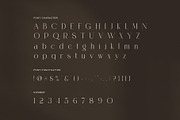 Roman Elegant Ligature Serif Font, a Serif Font by Graphicxell (Thumbnail 7 of 8)