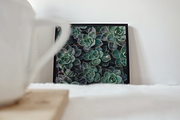 Frame Mockup Bundle - Opuntia, a Household Mockup by Saguaro Digital (Thumbnail 8 of 9)