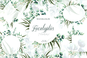Eucalyptus Frames Illustration, a Decorative Illustration by DioFlow (Thumbnail 1 of 6)