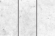 Rough pier texture pack, a Texture Graphic by The Shop (Thumbnail 10 of 38)