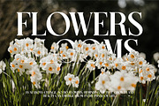 Rudge - Serif Font, a Serif Font by Luna Shop (Thumbnail 6 of 6)