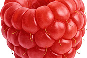 All Fruits Bundle Master Collection, a Food & Drink Photo by FlyeredTemplate (Thumbnail 28 of 130)