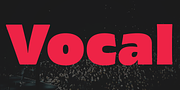 Vocal, a Sans Serif Font by Ani Dimitrova (Thumbnail 1 of 16)