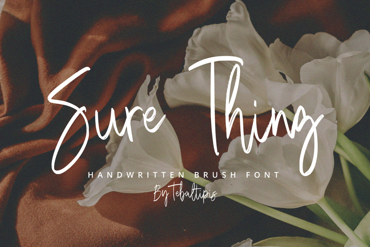 Sure Thing - Signature Brush, a Handwritten Font by tebaltipislab (Photo 1 of 9)