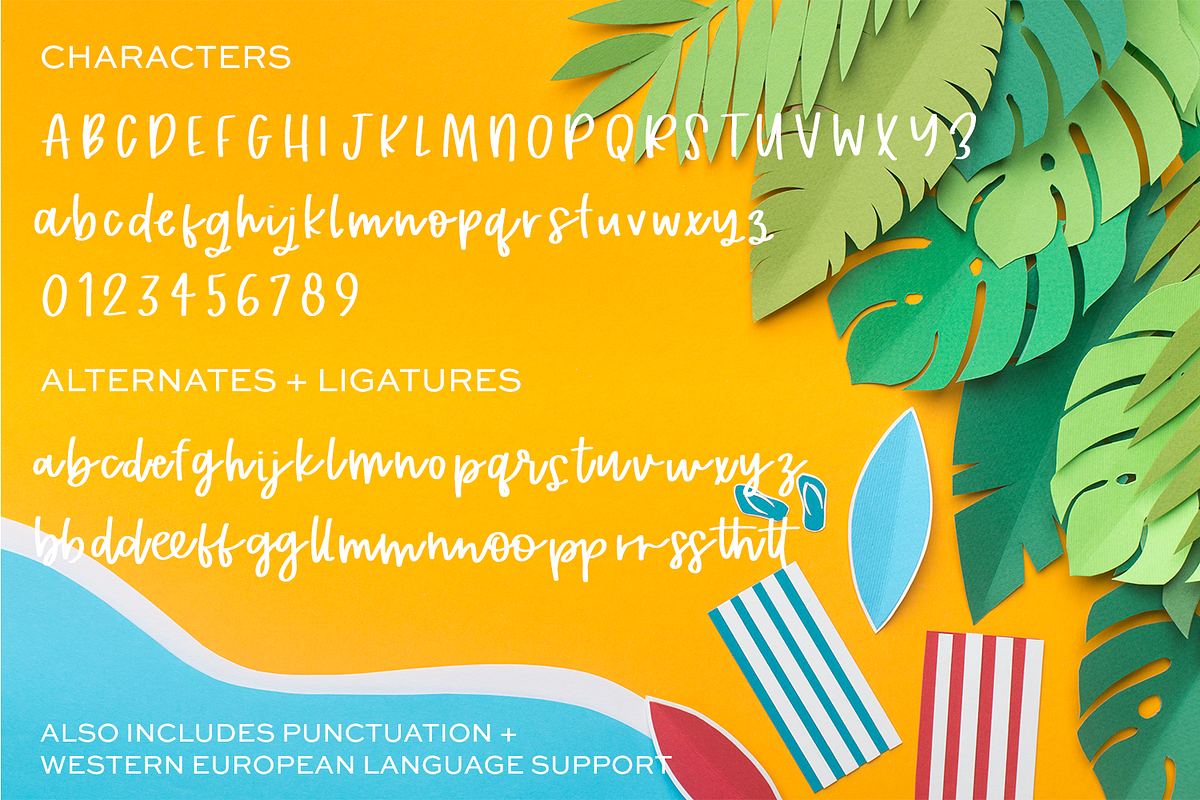 Tropical Trail Script, a Script Font by Beck McCormick (Photo 10 of 10)